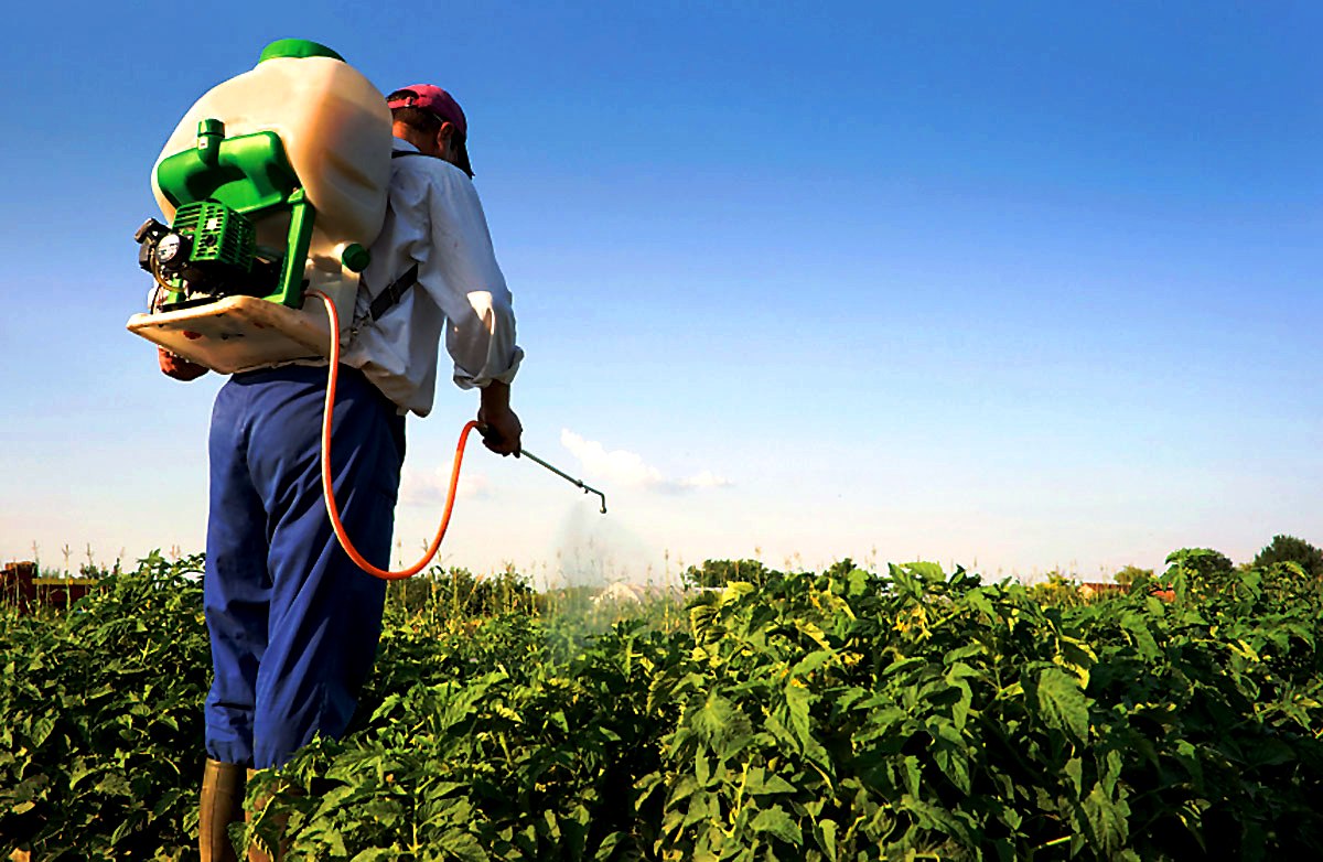 Hombre fumigando un campo.